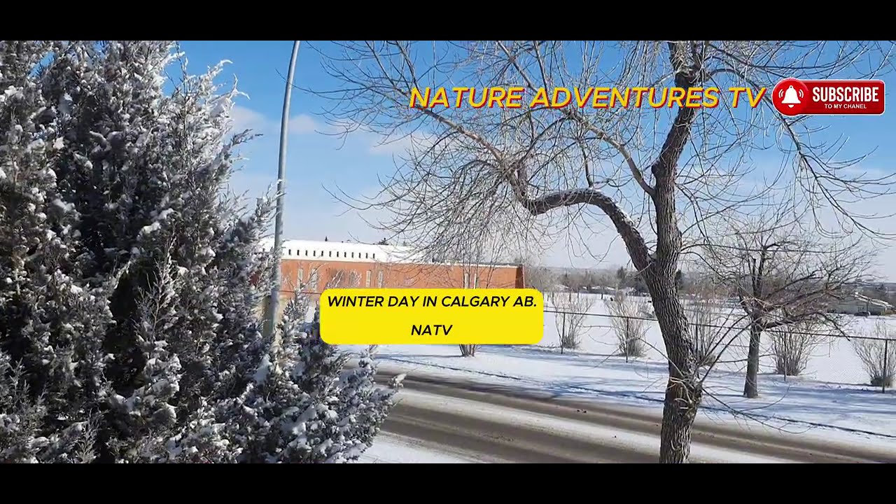 WINTER DAY IN ALBERTA CALGARY -26 | NATURE ADVENTURES TV #natureadventures #tv #winter #calgary #fy