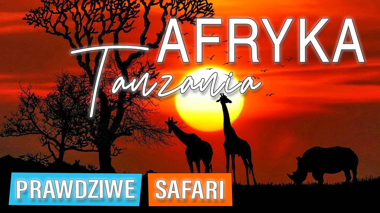 Safari z Zanzibaru Tanzania Afryka Mikumi. Wyprawa naszego życia, masa afrykańskich zwierząt