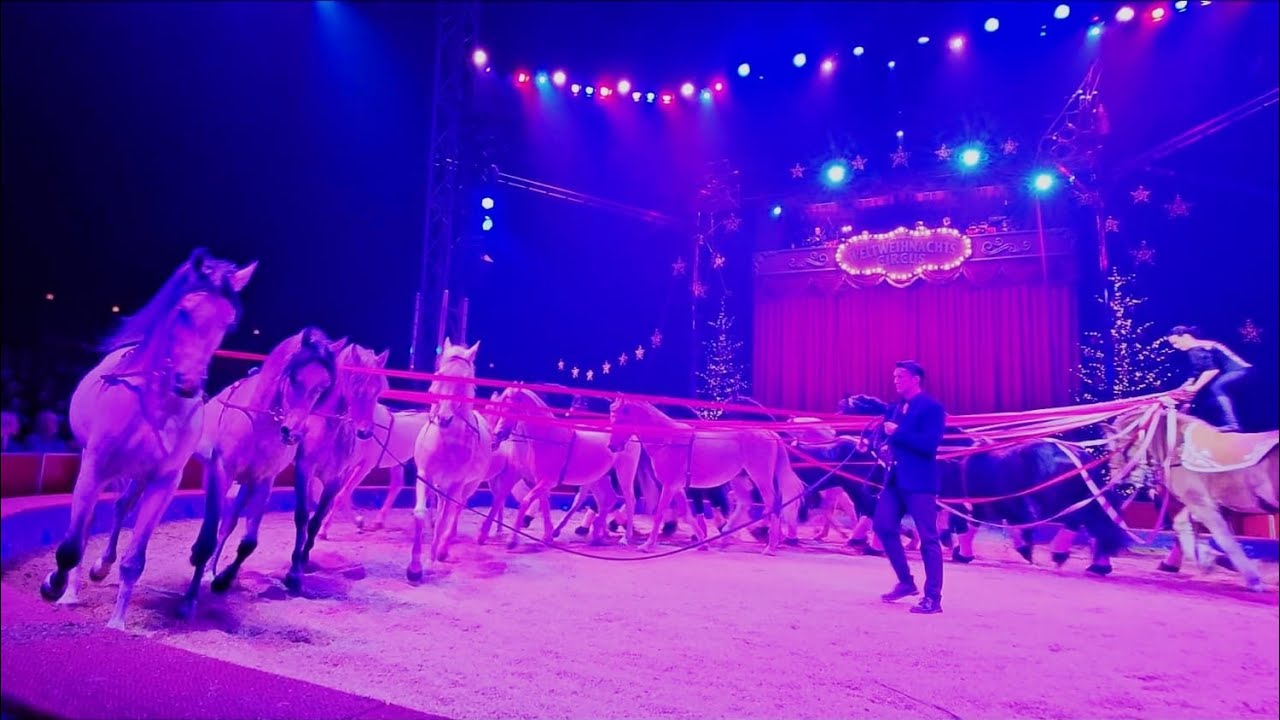 Angelina und Florian Richter - Ungarische Post Pferde - Weltweihnachtscircus Stuttgart 2023/2024