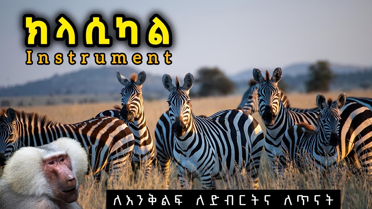 መሳጭ የክላሲካል ኢንስትሩመንታል ሙዚቃ ስብስቦች | New Ethiopian Non Stop Classical instrumental Music collection