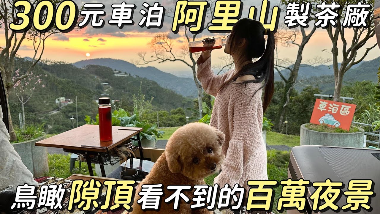 阿里山露營車泊點【300元車宿製茶廠！ 鳥瞰隙頂看不到的百萬夜景】超放鬆｜車中泊｜car camping | vanlife《老婆大人》
