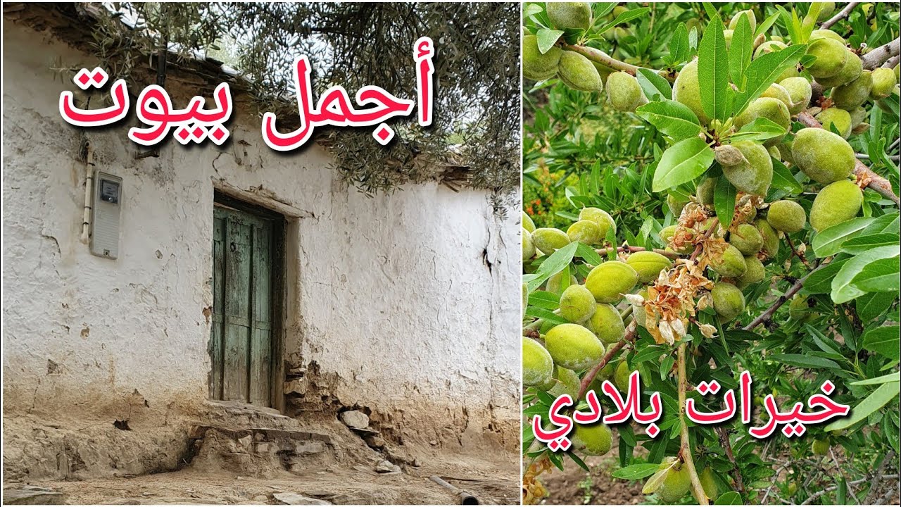 أمطار الخير وبيوت ريفية قديمة وجمال الطبيعة في بلاد إكزناين_كزناية