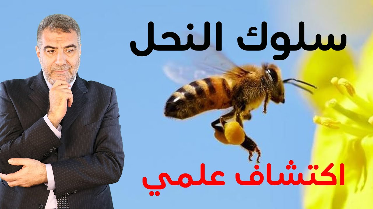 حقيقة يتنبأ بها القرآن في عالم النحل | عبدالدائم الكحيل