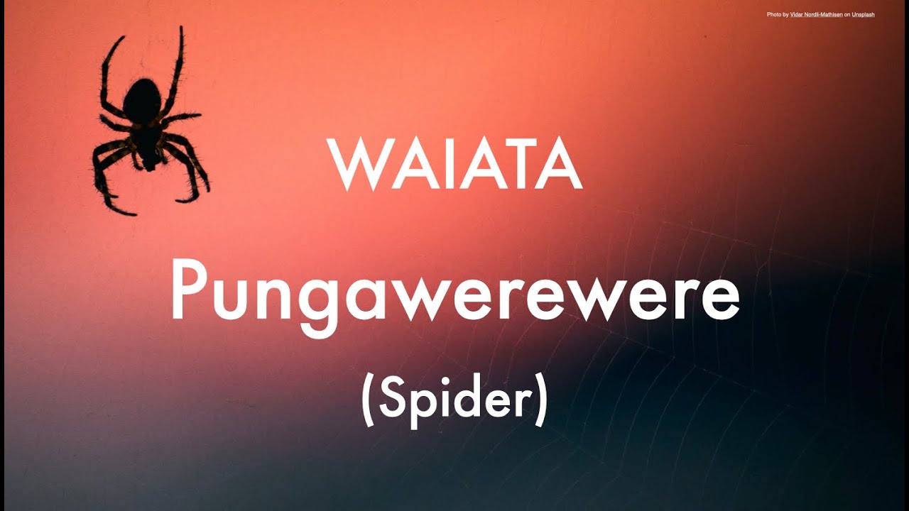 Pungawerewere Waiata