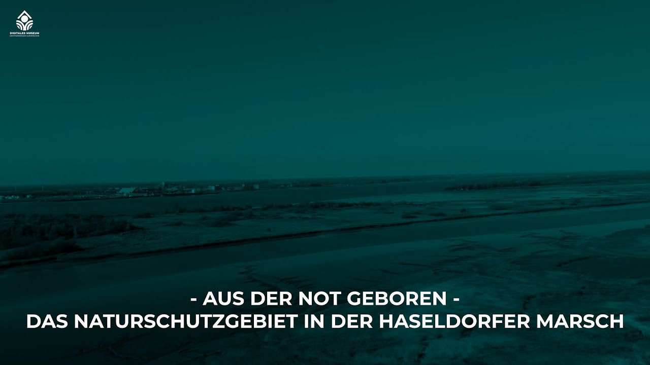 - Aus der Not geboren - Das Naturschutzgebiet in der Haseldorfer Marsch