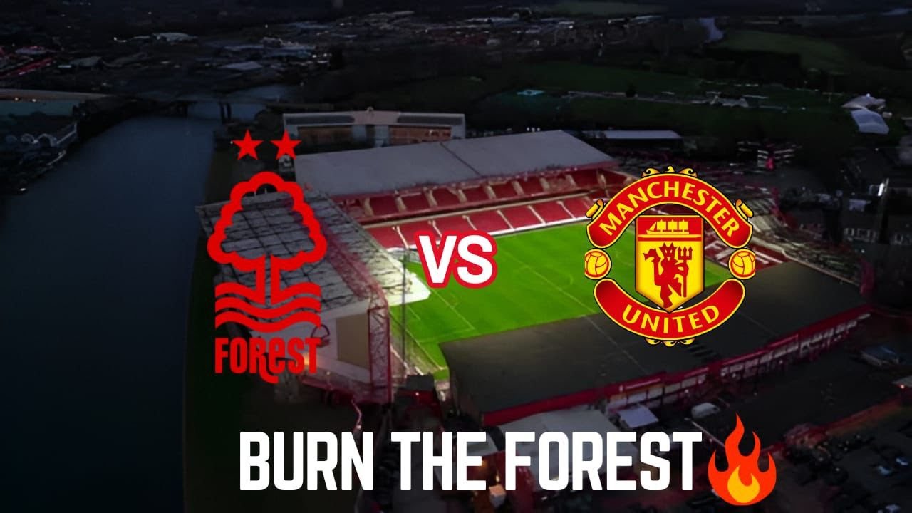 MASSIVE CHANCE! 4 WINS IN A ROW?! CHOP THE TREES! 🌳