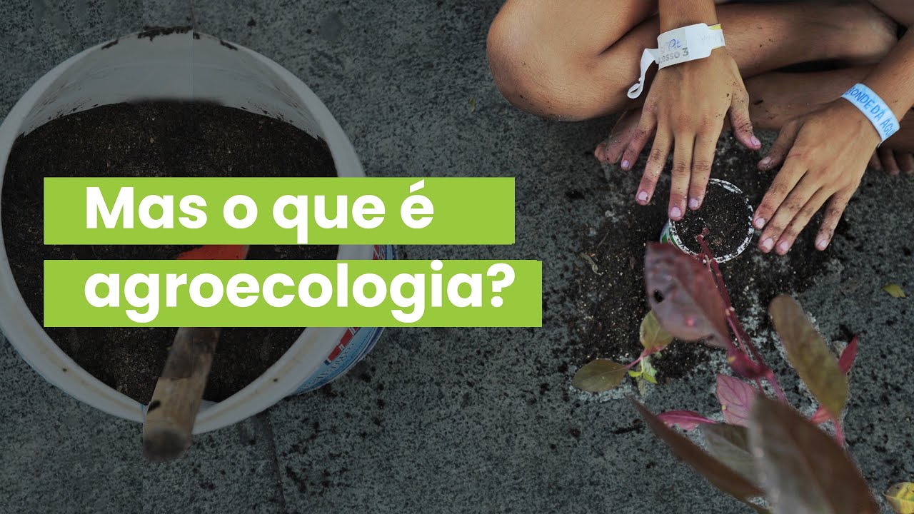 Mas o que é agroecologia?