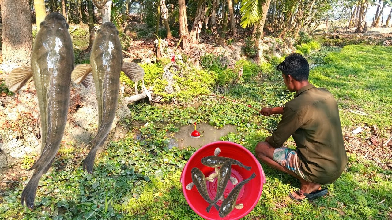 SA Fishing TV | Traditional fishing by hook | Village fishing | New techniques 