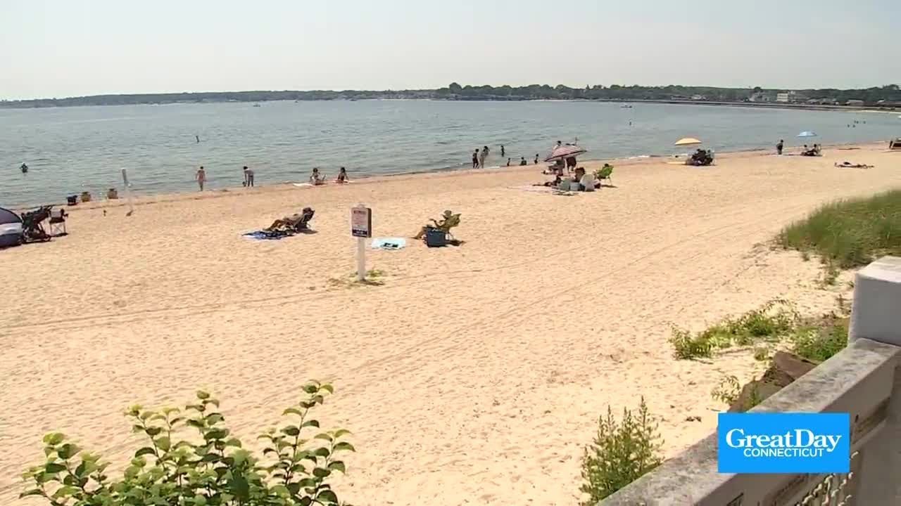 A Great Day in Niantic