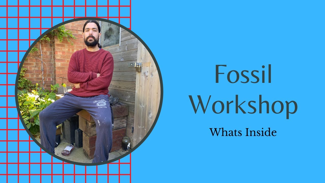 A Look Inside A Fossil Workshop
