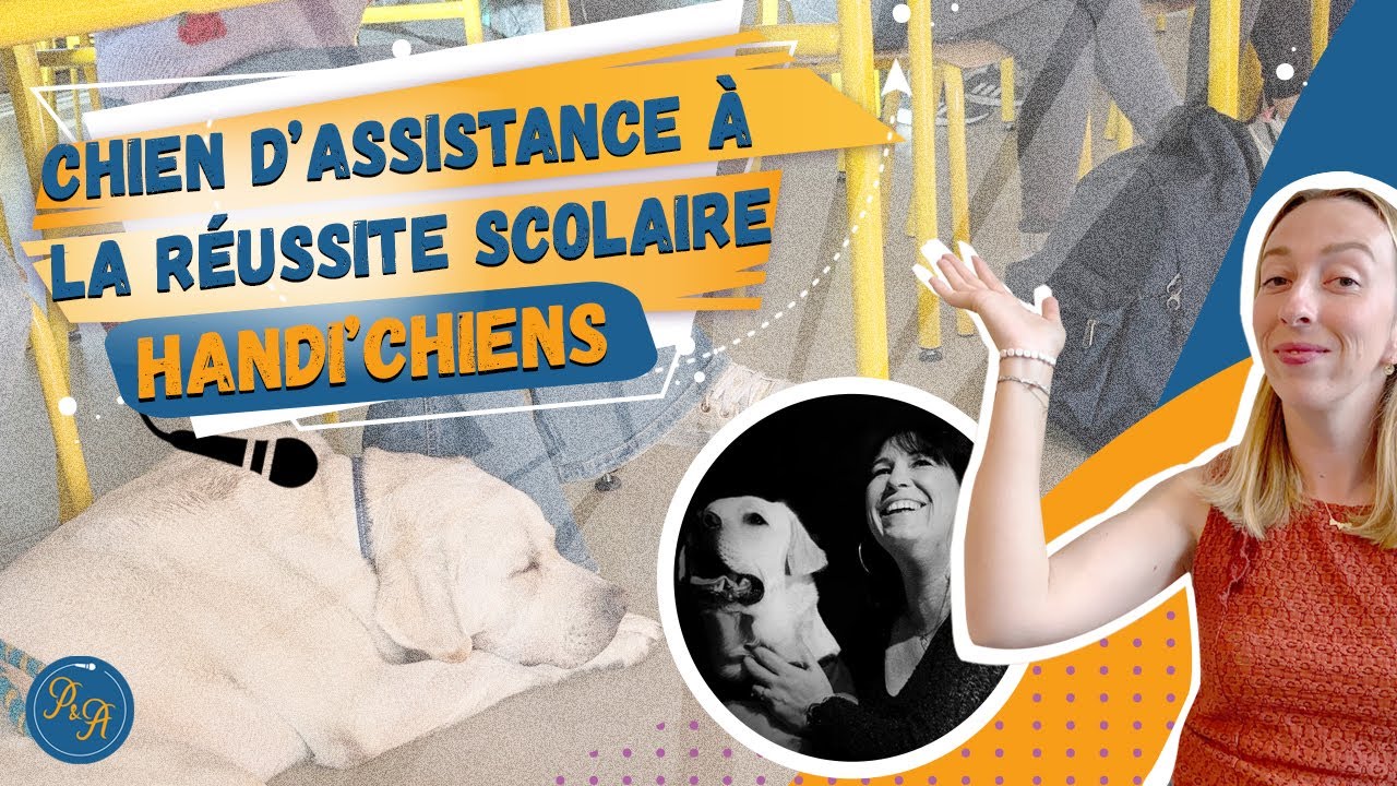 Chien d’assistance à la réussite scolaire - Handi’chiens - Ep.145