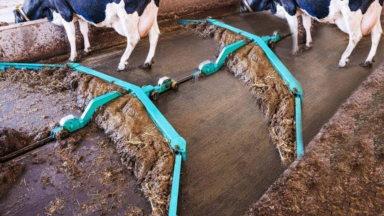 पशुपालन की एडवांस मशीनें | Modern Dairy Farming Machines | Dairy Farming Technology