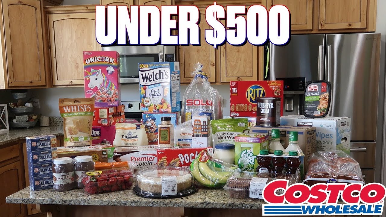 FILLING TWO CARTS AT COSTCO FOR UNDER $500 | FAMILY SIZED COSTCO HAUL
