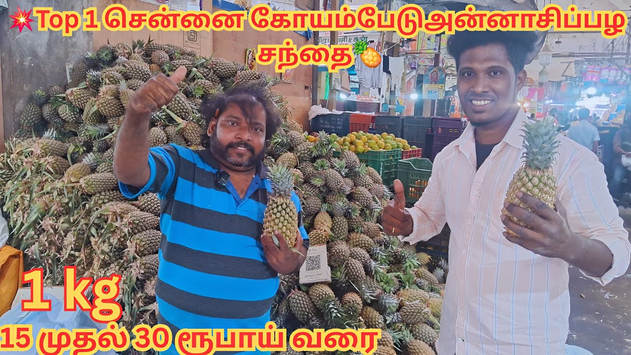 💥🍍 அன்னாசிப்பழ சந்தை | Pineapple market  | Chennai Koyambedu Pineapple market | Koyambedu Market