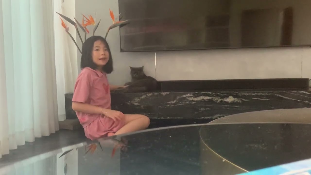 Giới thiệu ch&uacute; m&egrave;o Coco