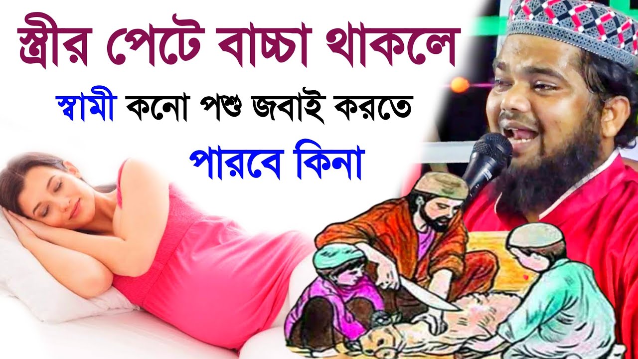 স্ত্রীর পেটে বাচ্চা থাকলে স্বামী কোন পশু জবাই করতে পারবে কিনা┇Maulana mofijul Islamer Jalsa,new waz