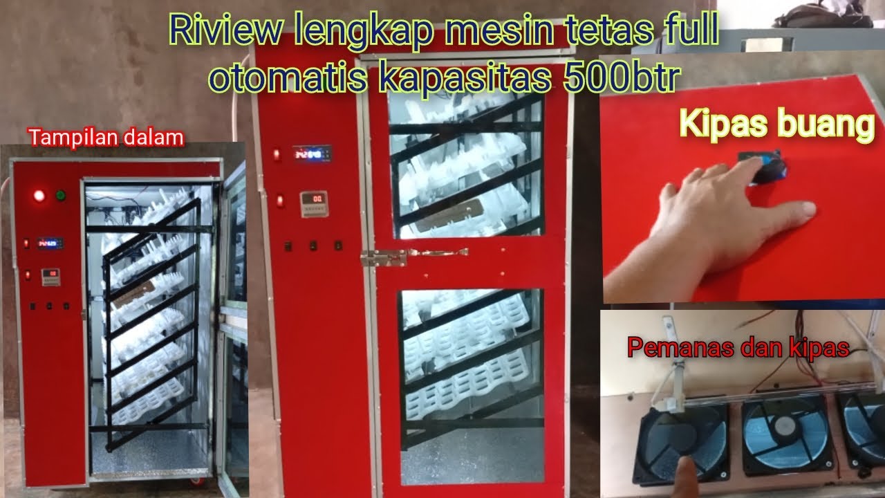 Riview mesin penetas telur kapasitas 500 butir full otomatis rak ayun