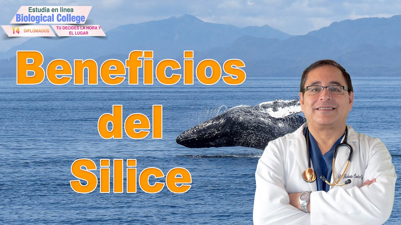 Que hace el silicio en mi cuerpo? Super Alimentos o  Alimentos Medicinales