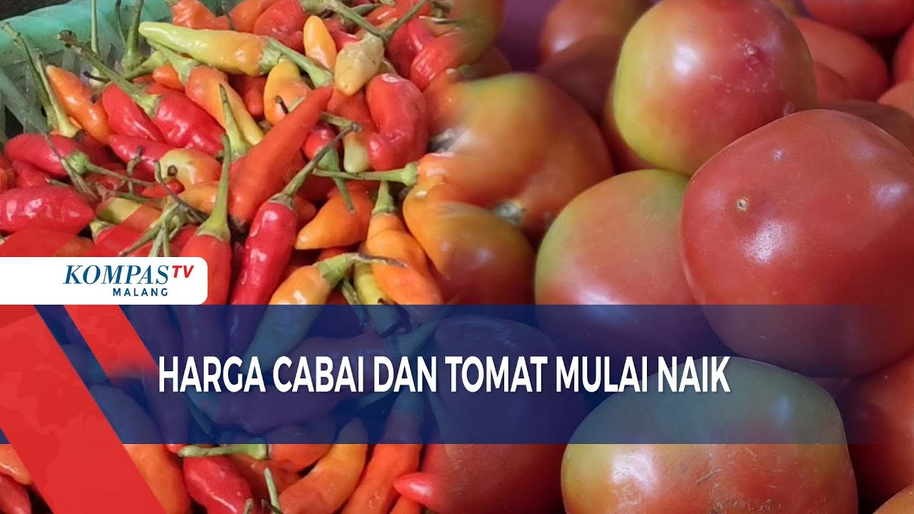 Pasokan Berkurang, Harga Cabai dan Tomat Merangkak Naik