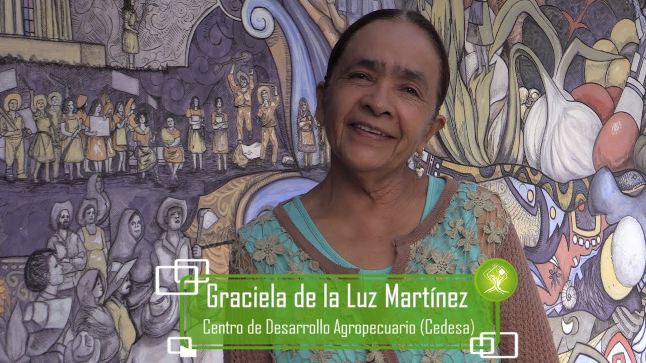 Cedesa, cuna de la autogestión guanajuatense
