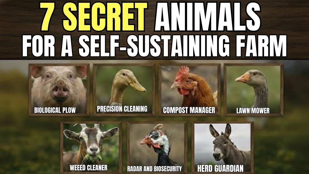 7 Hardworking Animals That Will Lighten Your Farm's Workload (Most Farmers Overlook #3)
