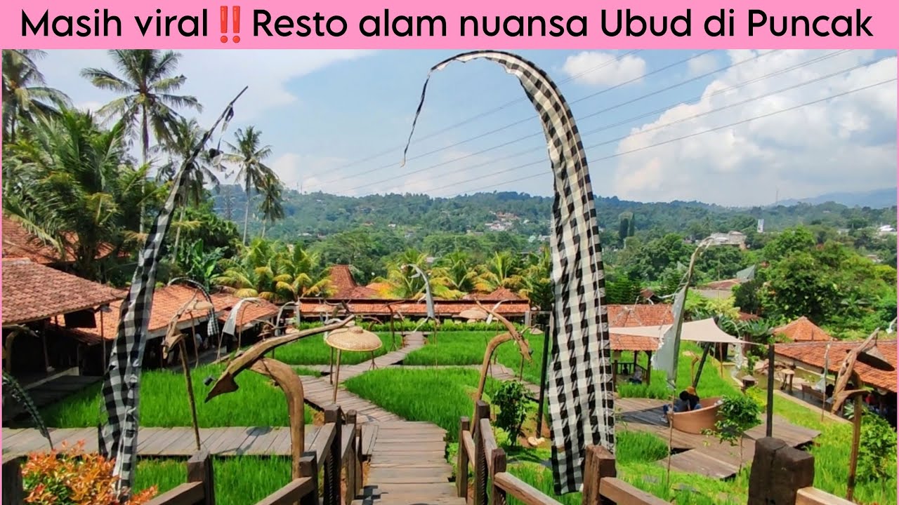 WAJIB NONTON SEBELUM KE NGOPI DI SAWAH GADOG PUNCAK || TEMPAT NGOPI ALA UBUD BALI BIKIN BETAH!!