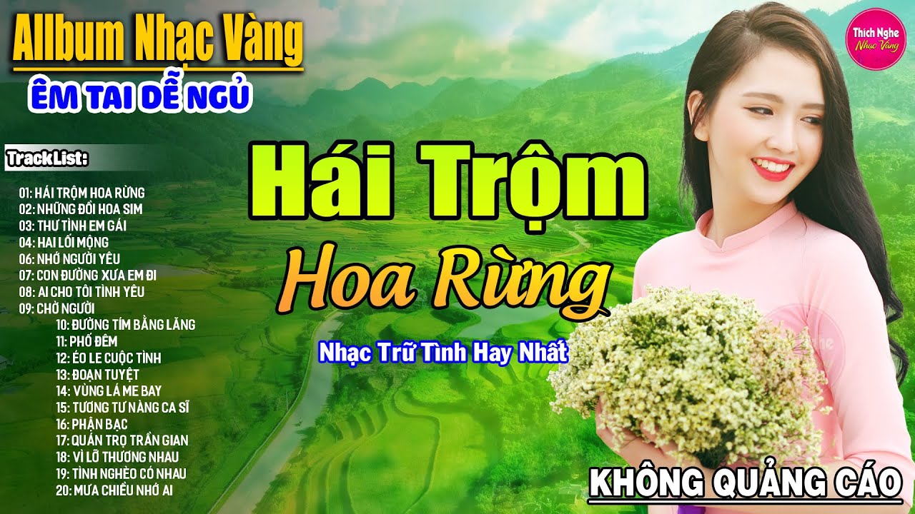 Hái Trộm Hoa Rừng ➤ LK Nhạc Vàng Xưa Hay Nhất Nhẹ Nhàng Sâu Lắng, Nghe Thử Một Lần Bạn Sẽ Nghiện