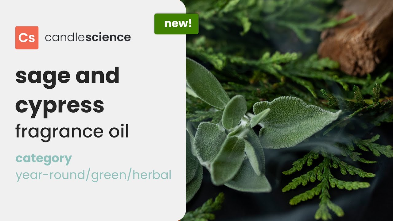 Sage and Cypress Fragrance Oil from CandleScience || Cleansing Green & Herbal Scent ||