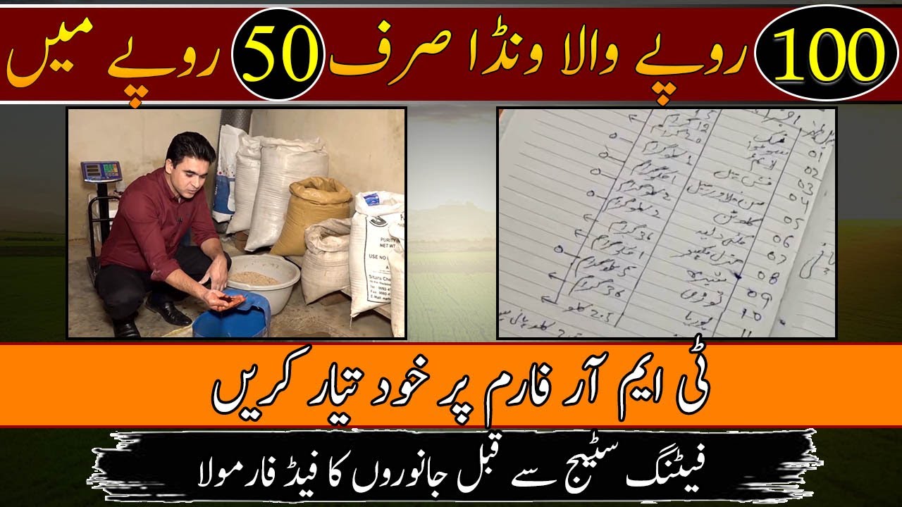 Low cost TMR formulation| How to prepare Wanda at farm| Pre-fattening animals ration formulation