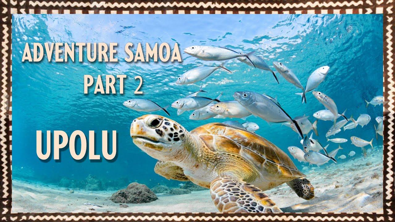 Adventure Samoa // Upolu // Part 2