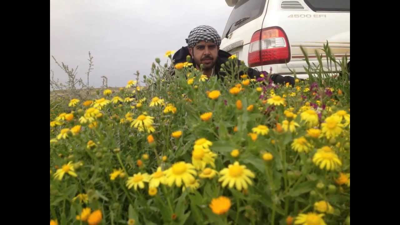روضة الهباس