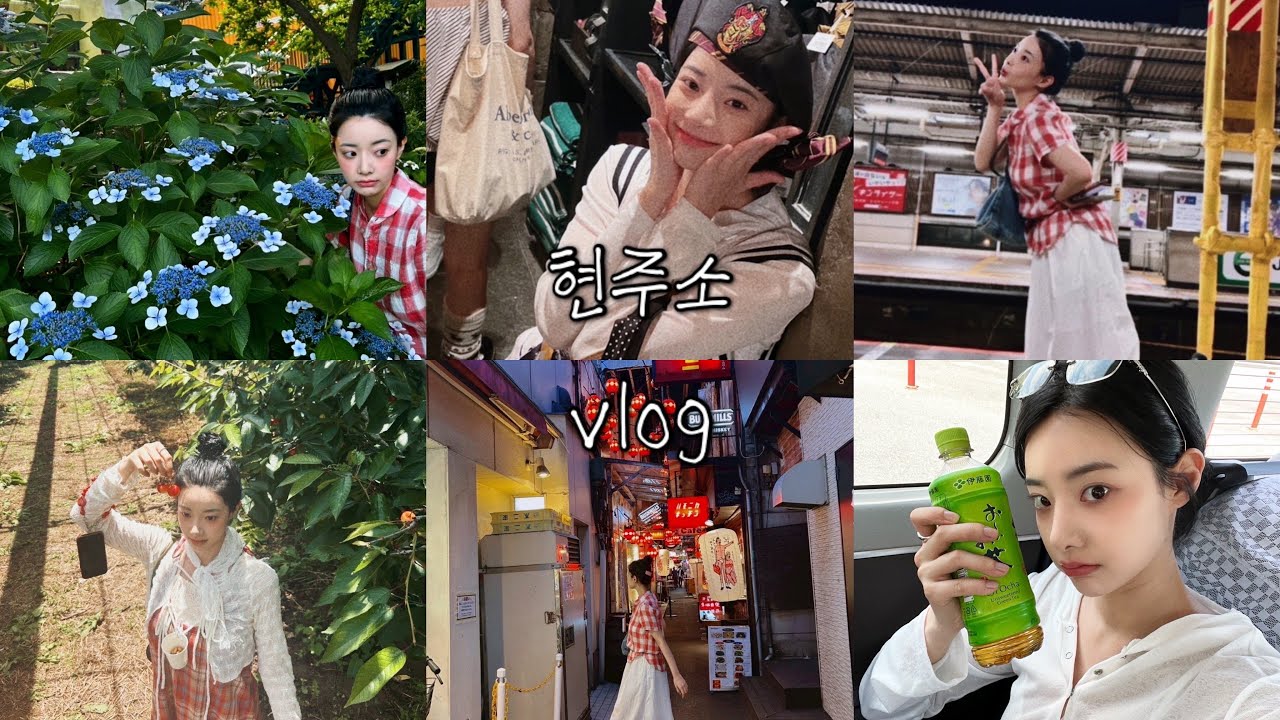 현주소vlog. 1월~7월, 소소한 행복을 모아둔 반년의 기록📝(bgm.선우정아-구애)