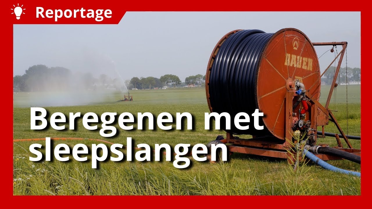 Beregenen met drie haspels en sleepslangen tegen de droogte
