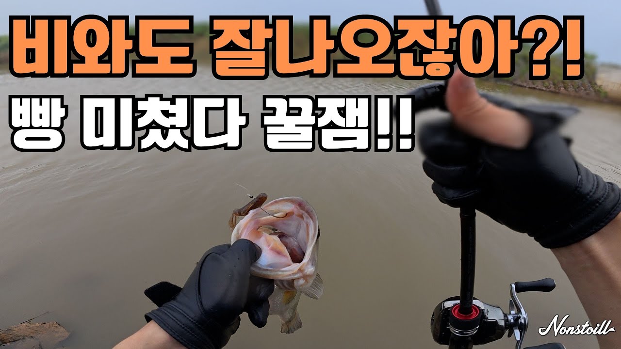 천수만 배스낚시, 무조건 나오는 포인트 공개