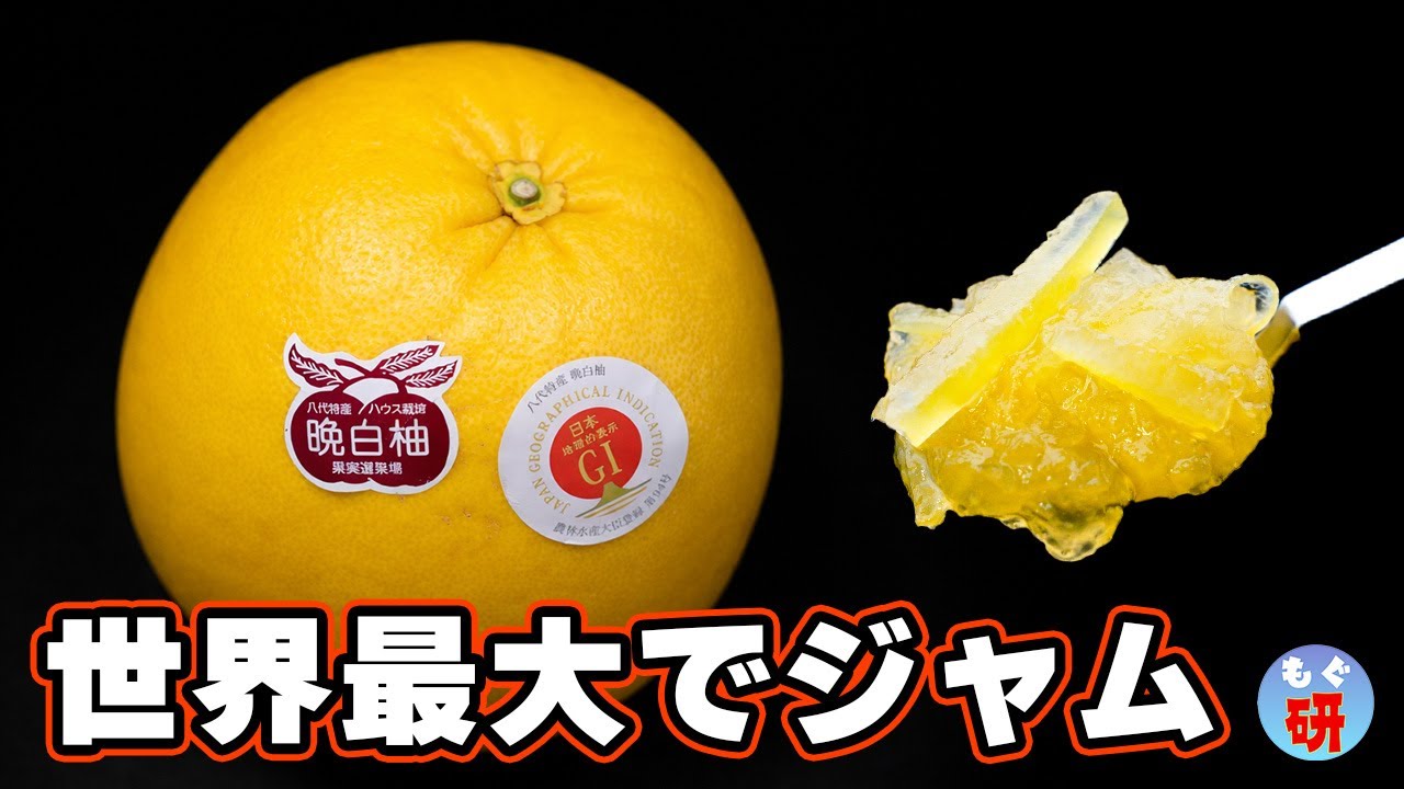苦みは抜きたいが香りは残したい【晩白柚】でジャム作り