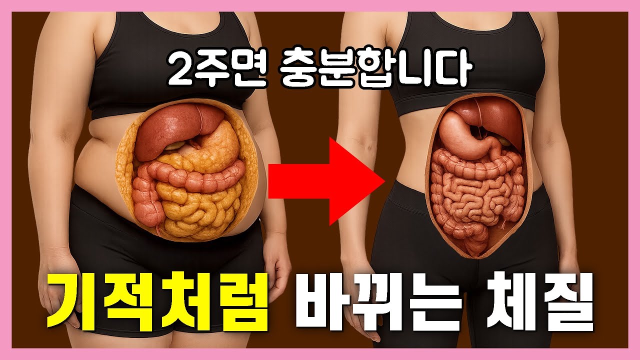 지방 태우는 몸 되는 2주. ‘3가지’만 지키면 충분합니다. | 평생 써먹는 다이어트 규칙 2단계