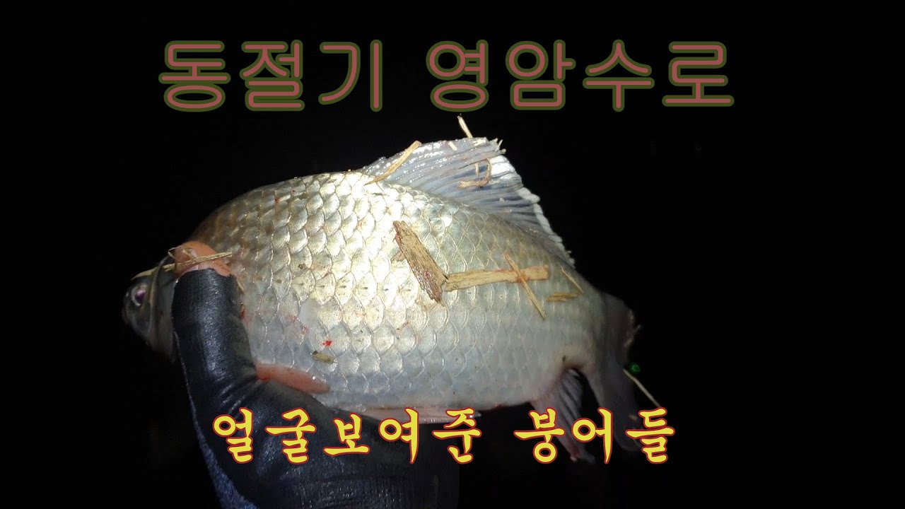 동절기의 구정리 수로