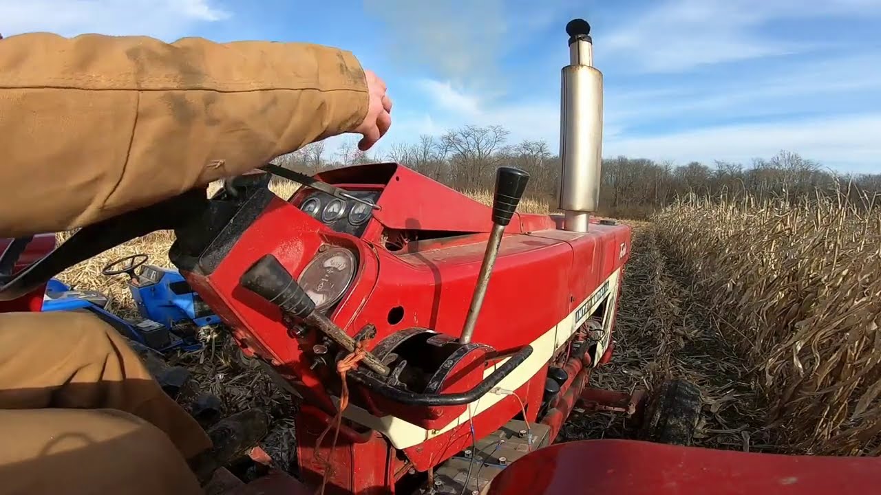 IH 1466 Gets a Chance to Pull the Deere 300 Cornpicker