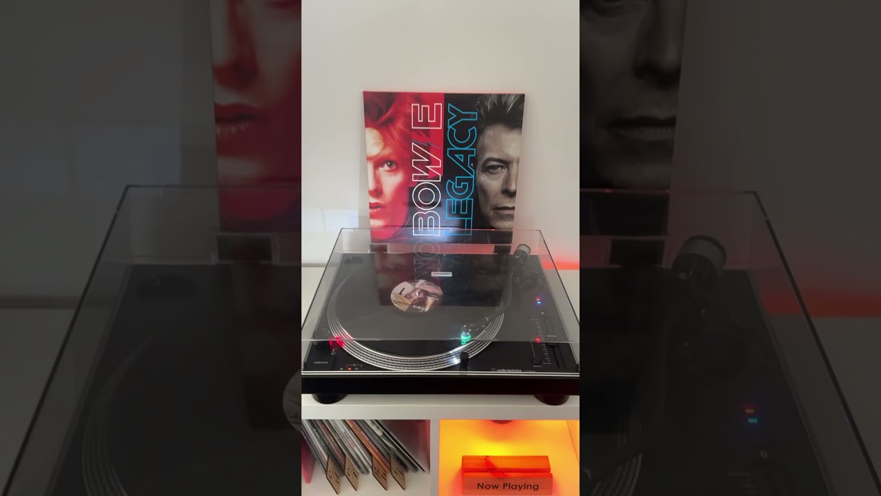 David Bowie 