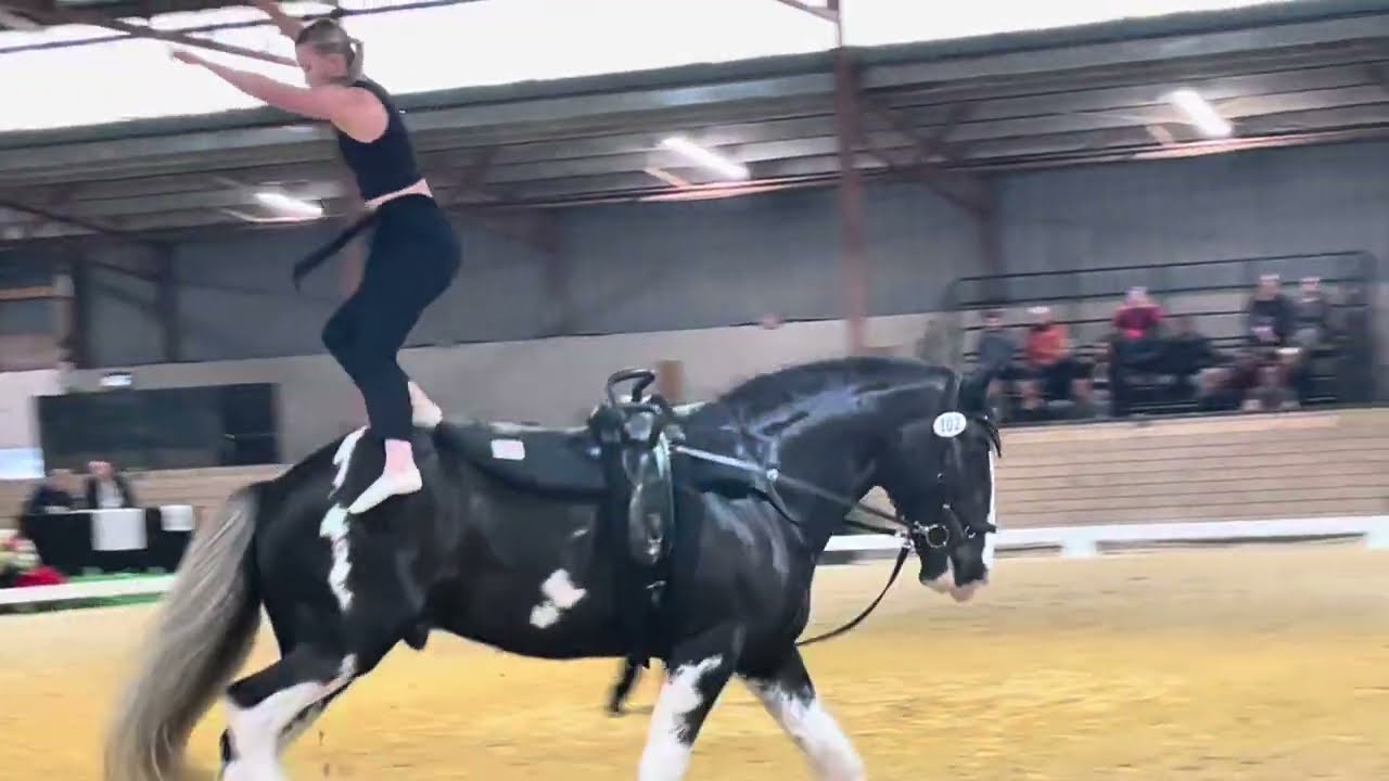 CVI3* Averill Saunders CAN - Free Test