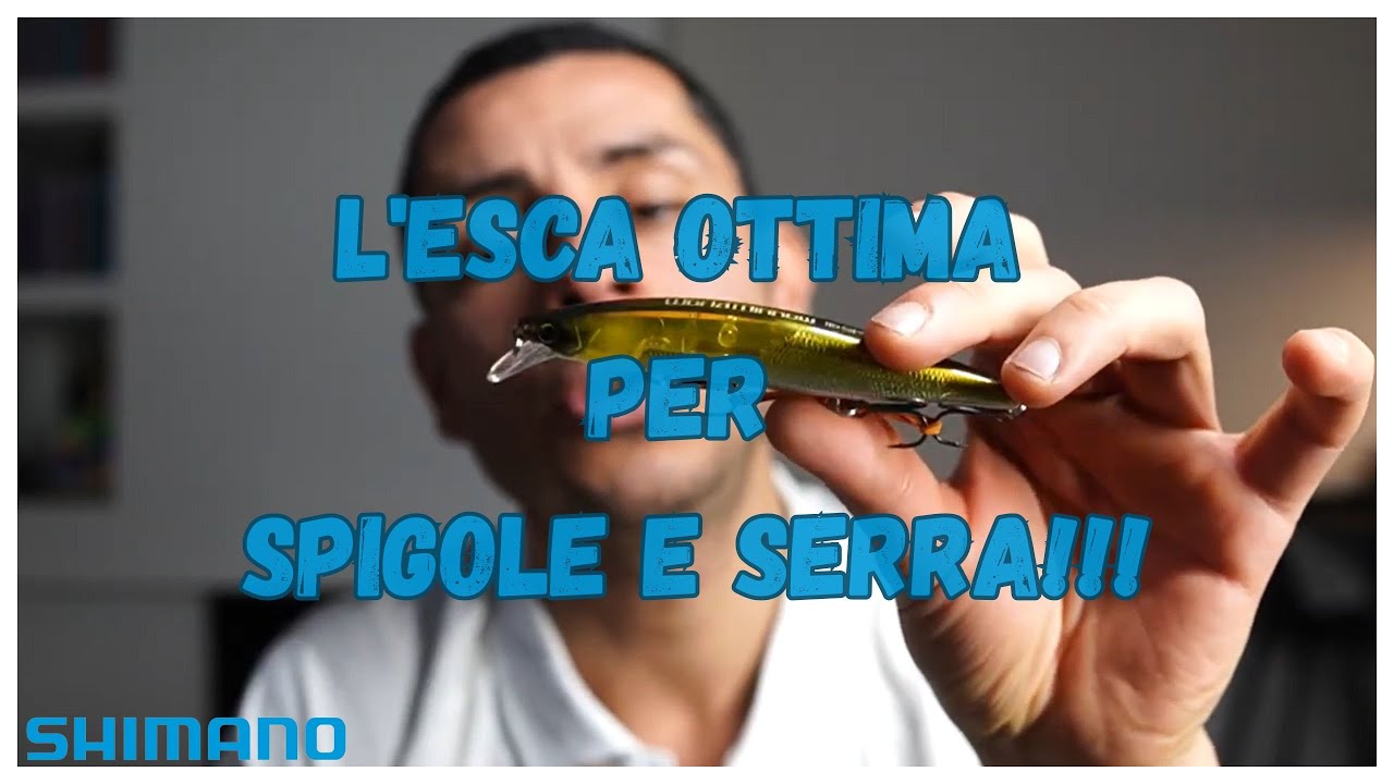 L'ESCA OTTIMA per SPIGOLE e SERRA @alessandrogabriele