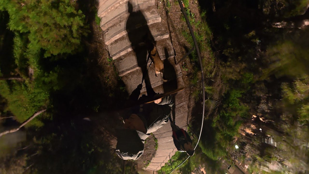 Paws&Boots after Dark in Parc Del Tossal - Alicante