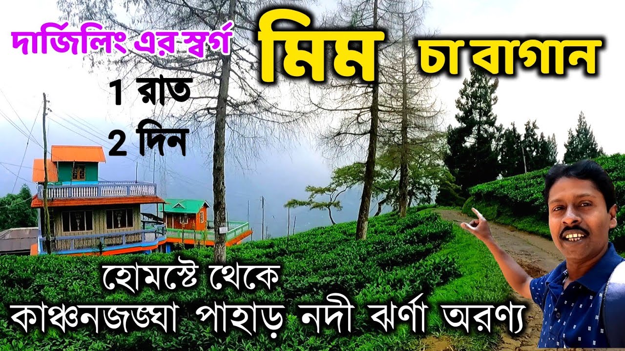 Mim Tea Estate Darjeeling| Mim Tea Garden | Mim Tea Estate Homestay | Offbeat Darjeeling |Darjeeling