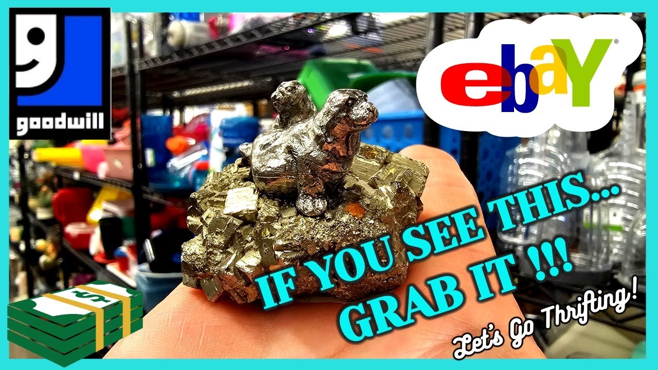 GOODWILL CHANGED its POLICY... WHAT HAPPENS NOW? / I WENT BACK for 3 ITEMS / TOP 5 HAUL Items SOLD
