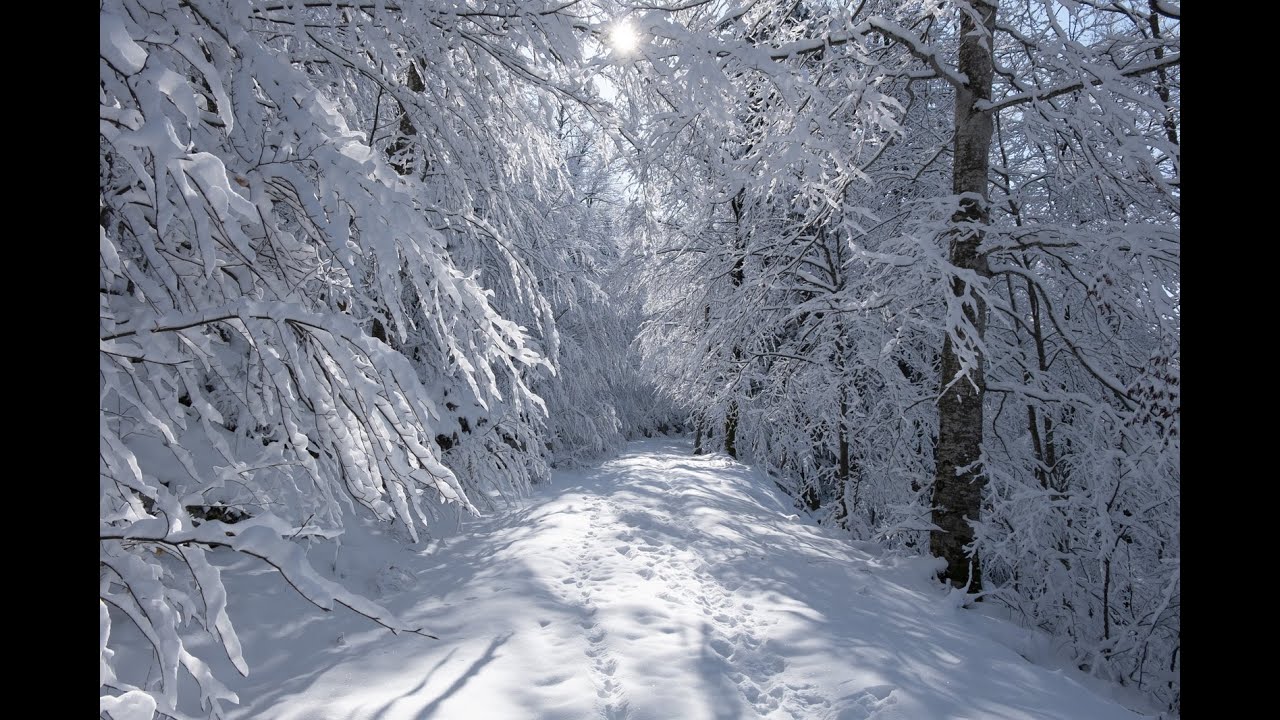 Čudovita zimska idila - Magic winter wonderland