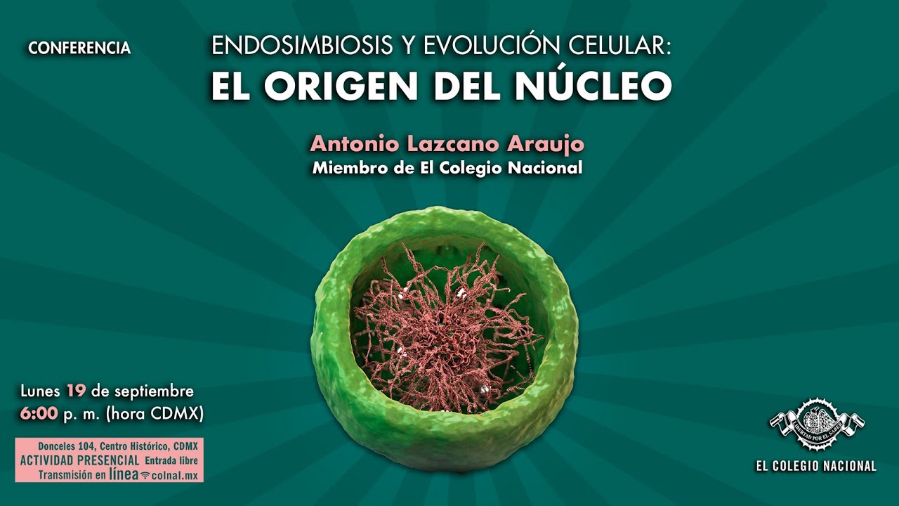 Endosimbiosis y evolución celular: el origen del núcleo