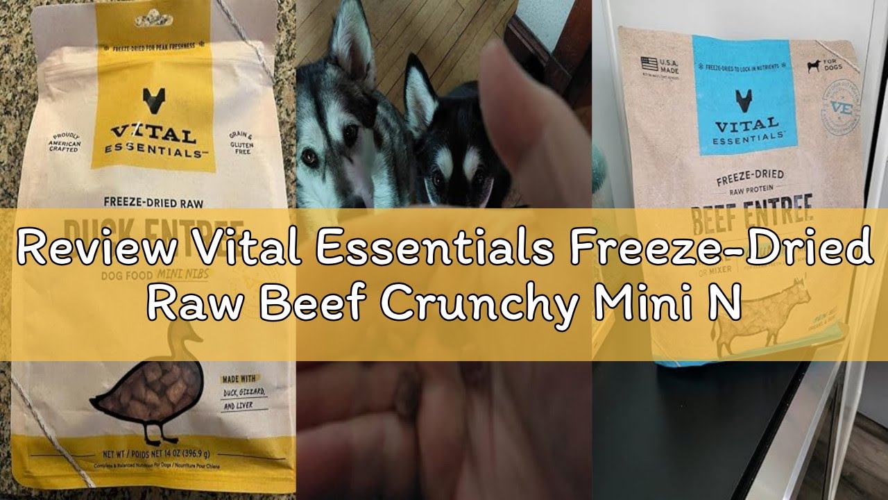 Review Vital Essentials Freeze-Dried Raw Beef Crunchy Mini Nibs | Complete Meal or Mixer | Healthy,