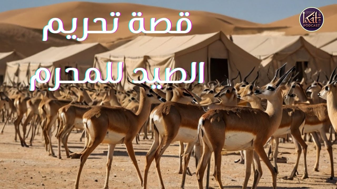 حين سكنت الطير وامتنعت الوحوش | القصة الكاملة لتحريم الصيد على المُحرِم في سورة المائدة