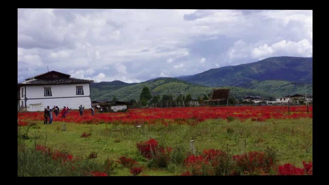 消失的地平線雲南香格里拉