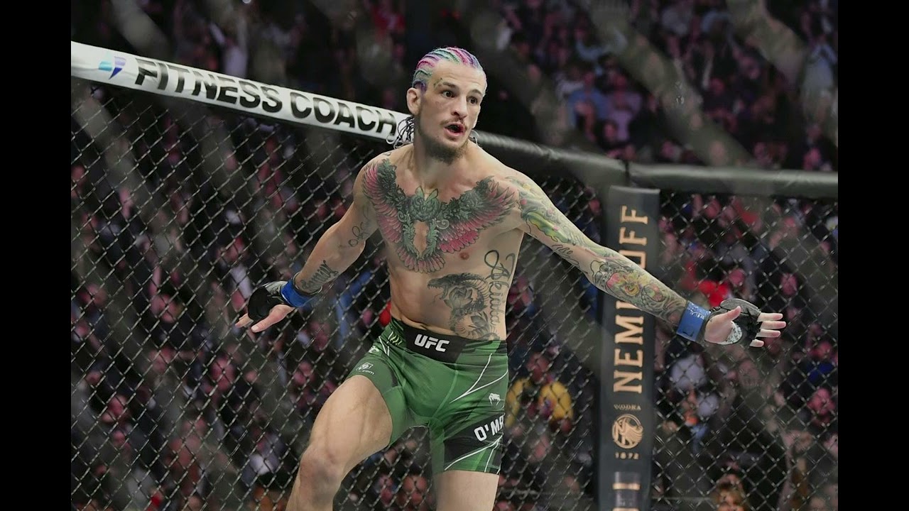 UFC 